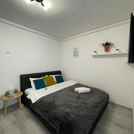Cozy Studio Apartament Залэу Экстерьер фото